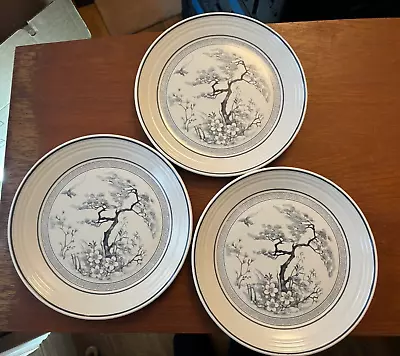 Buy 2 X Royal Doulton Lambethware ’Asian Dawn’ White Dinner Plates 25cm • 15£