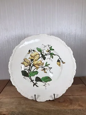 Buy Vintage Cauldon England Flower Series Pattern No 8 Plate  11.25  Diameter • 11£