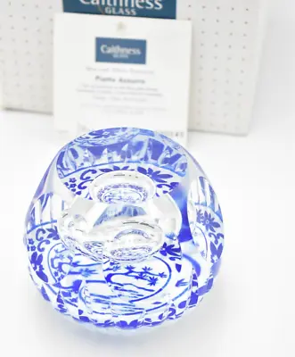 Buy Caithness Paperweight Piatto Azzurro Magnum Limited Edition Helen MacDonald • 94.95£