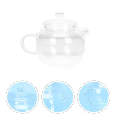 Buy  Tea Maker High Borosilicate Glass Delcate Pot Chinese Teapot Japanese Style • 11.39£