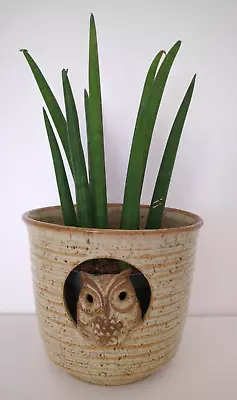 Buy Vintage Mid Century Studio Pottery Owl Plant Pot Holder 70s 80s • 15£
