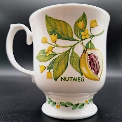Buy Roy Kirkham - Herbs N Spices - Floral Nutmeg - Fine Bone China Mug • 6.99£