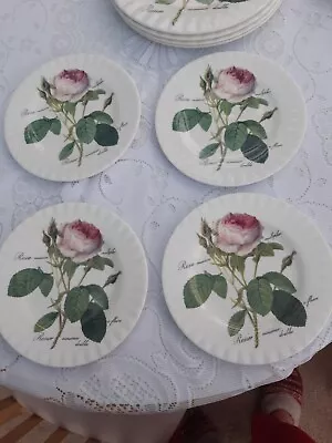 Buy Roy Kirkham Redoute Roses 4 Large Dinner Plated • 29.99£