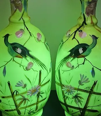 Buy Pair Antique Custard Glass Hand Painted Bird Vase’s Uranium Opaline Vase 22.5cm • 41£
