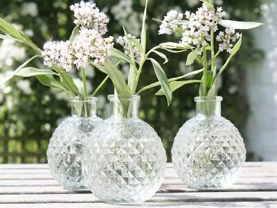 Buy Wedding Flower Vintage Botanical Glass Bud Vase Name Holder Party Home Christmas • 2.95£