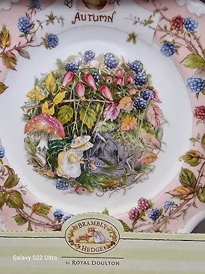 Buy Vintage Royal Doulton Brambly Hedge Four Seasons 8  Collector's Plate Autumn • 19.87£