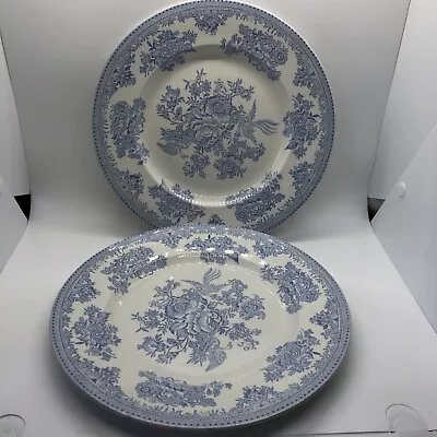 Buy Burleigh Burgess & Leigh Asiatic Pheasants Blue Dinner Plate - 10” X 2 • 32£