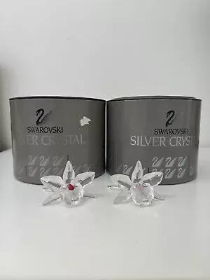 Buy Swarovski Orchids, With Original Packaging • 55£