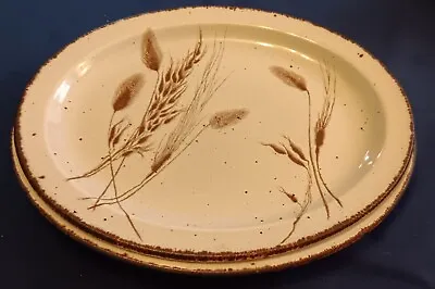 Buy Midwinter Stonehenge - Wild Oats - 2 X Oval  Steak Plates  – Excellent Condition • 15£