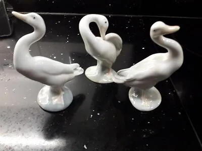 Buy Last Chance, 3 Lladro Geese Reduced £10 Plus Postage • 10£