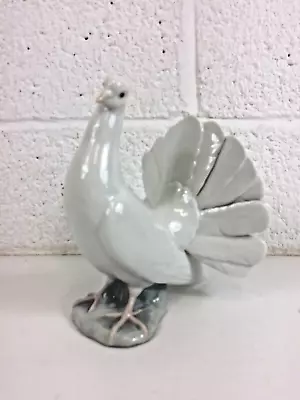 Buy Lladro 8 1/4  Fantail Dove Figurine, 1016 • 12.99£