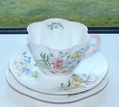 Buy Shelley  Dainty China Wild Flowers 13668 C1950s Trio Cup Saucer Plate Pink Trim • 20£