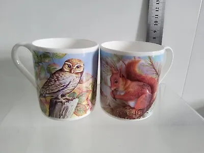 Buy Staffordshire Association Potters China Cups Wildlife Design Owl Squirrel • 8.99£