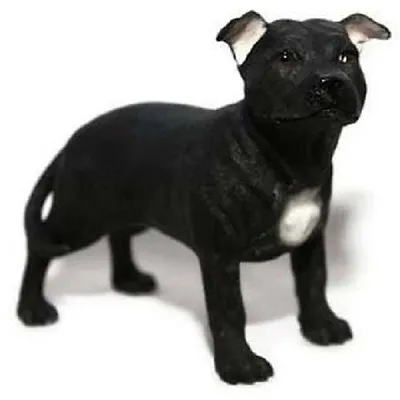 Buy Black Staffordshire Bull Terrier Dog By Leonardo - Staffie Dog Staffy Dog New  • 9.99£