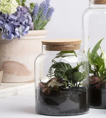 Buy Small Recycled Clear Glass Terrarium Planter Pot Bottle 5L Half Open Cork Lid • 19.99£