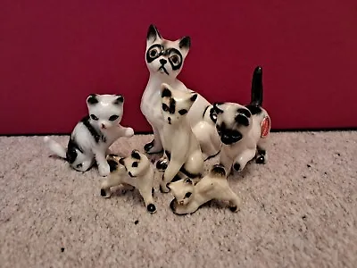 Buy Bone China Cat Ornament Assortment • 19.99£