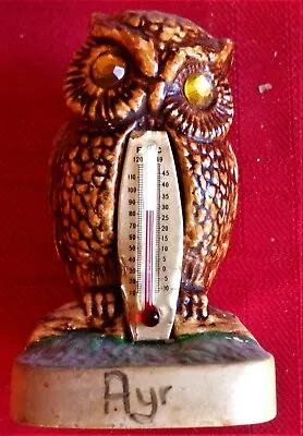 Buy Early Vintage Manor Ware- AYR - OWL THERMOMETER • 1.50£