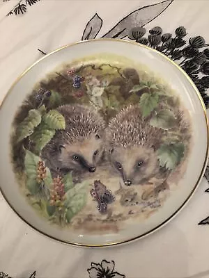 Buy NBJ China Staffordshire England European Hedgehog Decorative Plate • 3.99£