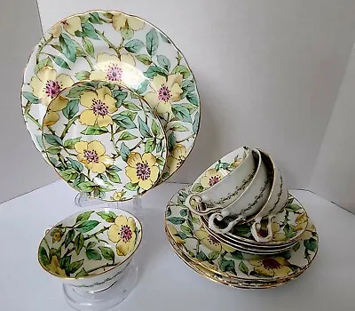 Buy Tuscan Yellow Dogwood 13-piece Vintage Set.  Made In England. Cup, Saucer, Plate • 140.80£