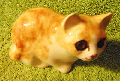 Buy Winstanley Pale Ginger Very Sweet And Mischievious Looking Cat Size 1...Ex Con • 29.99£