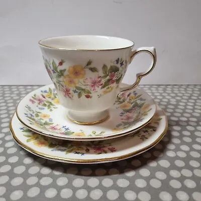 Buy Colclough Bone China “Hedgerow” Trio. Cup, Saucer & Side Plate.  • 6.99£