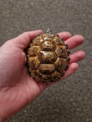 Buy Wade Pottery Tortoise Ornament In Good Condition  • 5.99£