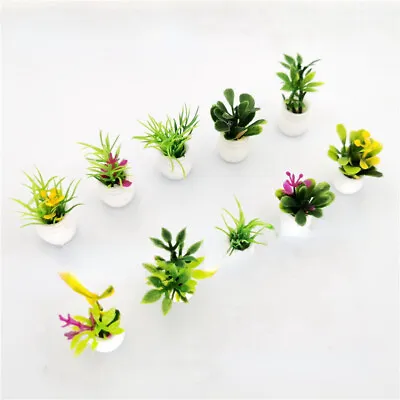 Buy 10x Dolls House 1:12th Scale Miniature Potted Flowers Plants Garden Accessories • 5.99£