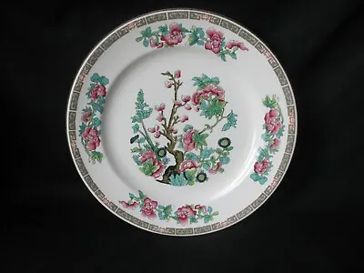 Buy John Maddock & Sons Indian Tree ,Dinner Plate , Royal Vitreous ,24cm Or 9.5   • 8.99£