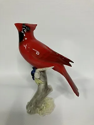 Buy Vintage Hutschenreuther Cardinal Bird Figurine Porcelain Bird Gunther Granget  • 112.84£