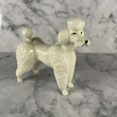 Buy Lovely  Beswick Dog Figure ~ White Poodle ~ Standing ~ No.1386 • 12£