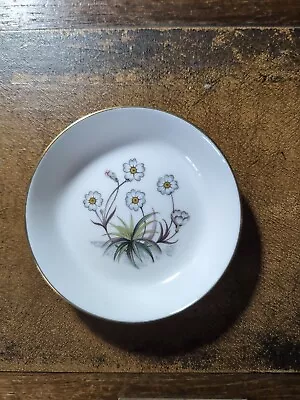 Buy Royal Worcester Bone China Pin Trinket Dish Daisy Floral Design • 2.49£