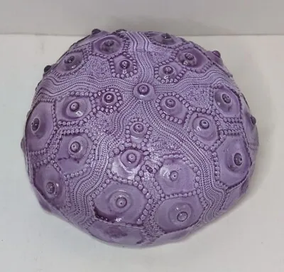 Buy Robin Lehman 2019 Sea Urchin Purple Crystal Glass Paperweight Decorative Ocean  • 19.21£