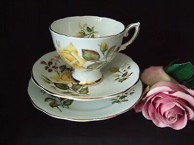 Buy Bone China Royal Standard Sunset Trio Tea Cup Saucer Plate Yellow Roses • 5.99£
