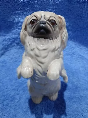 Buy Royal Doulton Vintage Bone China Pekingese Dog Figurine  • 39.99£
