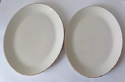 Buy 2  Steelite Large Oval Dinner Plates Serving Retro ( 34cm X 26cm) C1970s • 12£