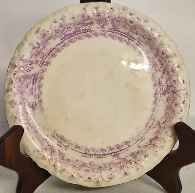 Buy Vintage Wileman The Foley China England Side Plate • 5£