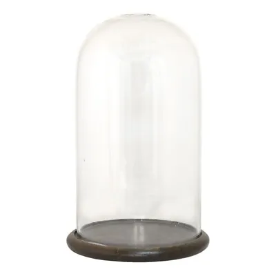 Buy SAVE 50%!!! 29cm Glass Display Cloche Bell Jar Dome Flower Vase Wooden Base  • 19.99£