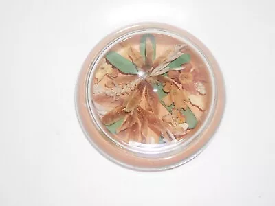 Buy Vtg 18th Century Bouquet Princeton NJ Paperweight Glass Dried Flowers Desk • 14.22£