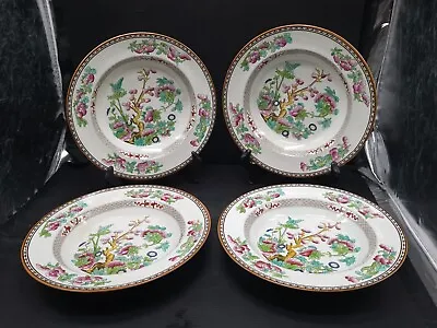 Buy Booths Indian Tree 9.5  Rim Soup Silicon China England Set Of Four #8242 • 56.55£