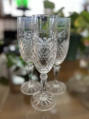 Buy Galway Irish Crystal Champagne Flutes With Holly Etching   • 52.43£