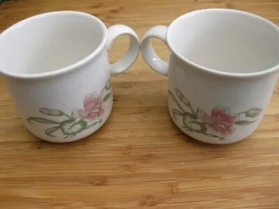 Buy Vintage Staffordshire Tableware, Pair Floral Pattern Cups • 2.99£
