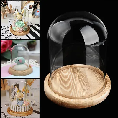 Buy Large Decorative Glass Dome With Wooden Base Cloche Bell Jar DIY Display Stand • 14.98£