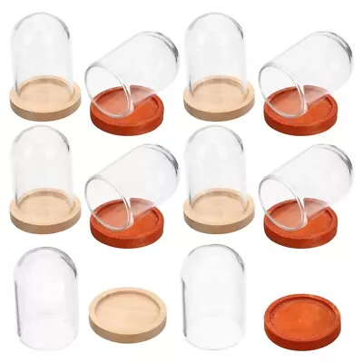 Buy  Small Glass Dome Display Cases - 10pcs For Miniature Objects  • 13.99£