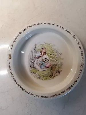 Buy Wedgwood Beatrix Potter Mrs Tiggy-Winkle Porringer Rimmed Porcelain Bowl • 3.99£