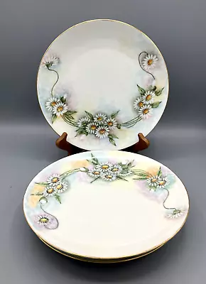 Buy Set Of 4 Antique Thomas Bavaria Porcelain Plate Hand Painted Daises • 72.05£