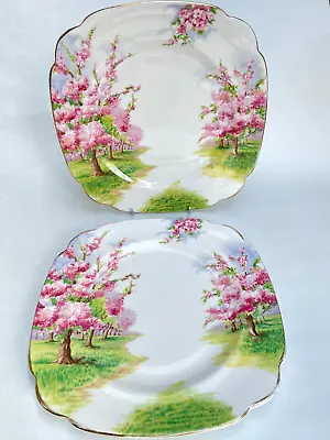 Buy 2 X Vintage Royal Albert Bone China 24.5cm Dinner Plates Cherry Blossom Time VG • 29.99£