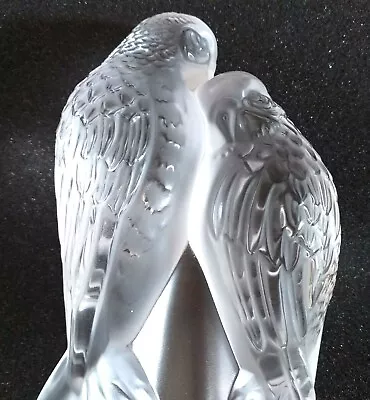 Buy Lalique Parrots Parakeets Symbolising  Eternal Love  Boxed Stunning Love Eternal • 600£