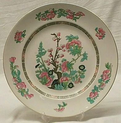 Buy Indian Tree Crown Clarence Dinner Plate Green Key Floral Staffordshire England • 20.74£