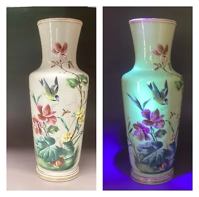 Buy Antique Harrach Enamelled Glass Vase Bohemian Vaseline Glass Bird Vase 1880s   • 299£