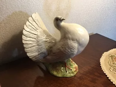 Buy Beswick Fantail Pigeon, No 1614. Rare Piece Made From 1959-1969 Excellent Cond. • 350£